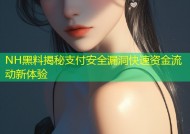NH黑料揭秘支付安全漏洞快速资金流动新体验