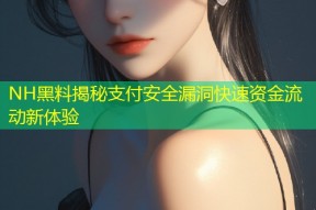 NH黑料揭秘支付安全漏洞快速资金流动新体验