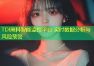 TDI黑料智能监控平台 实时数据分析与风险预警