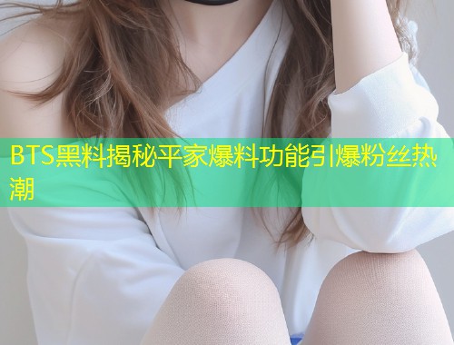BTS黑料揭秘平家爆料功能引爆粉丝热潮  第1张