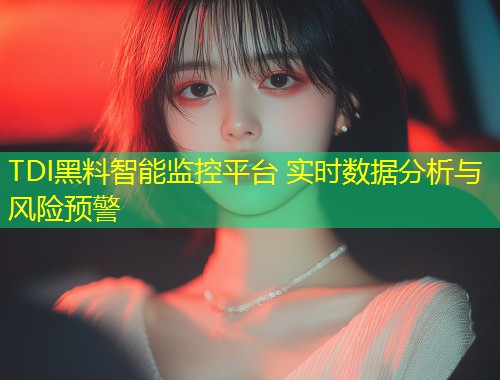 TDI黑料智能监控平台 实时数据分析与风险预警  第1张